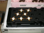 1PCS Philips BLY87C Watt Vhf Transistor For Marti Transmitter 2N6080 Sub. Fixed Price $20.00.