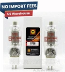 572B Machlett Power Triode Tube Matched Pair Rf Ham Radio Ameritron Collins. Fixed Price $217.88.