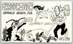 Qsl Amateur Radio Or Cb Grasshoper KAED-2590 Apollo Beach Fl Postcard. Fixed Price $5.41.