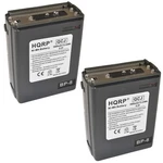 2-PACK 1600MAH Battery For Realistic Radio Shack HTX-202 / HTX-404 Two Way. Fixed Price $49.95.