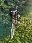 Vintage Pegasus Ten Speed Bike. Fixed Price $250.81.