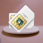 Global Data Sim Card For Inrico TM-9 TM-7 T522A T310 Network Radio Annual Prepay. Fixed Price $115.00.