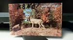Amateur Ham Radio Qsl Postcard K8MTI William Ruggles 1961 Columbus Ohio. Fixed Price $9.65.